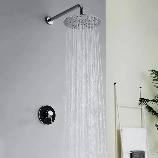 Sanipro Chrome Shiny Stainless Steel Rain Top Spray 8 Inch SUS304 Round Ultra